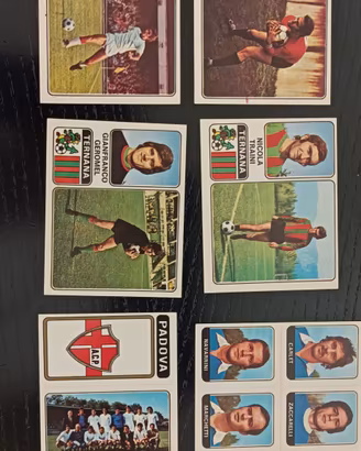 figurine calciatori panini 72/73 rare