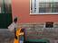 Immagine 2