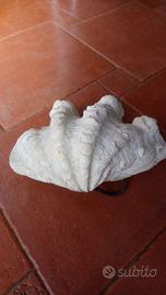 Conchiglia di Tridacna naturale, lunghezza cm 27