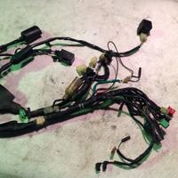 IMPIANTO ELETTRICO HONDA SHADOW 600