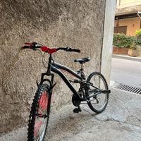 Bici bimbo 11/12