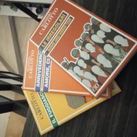 3 libri massimo carlotto/fuggiasco/irregolari/amo