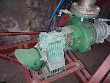 pompa caprari mec d2 65 