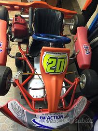 GO KART PAROLINI DELFINO