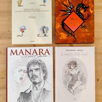 Set libri illustrati graphic novel 