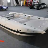 Gommone catamarano 330 masottisport