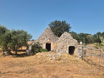 Trulli da ristrutturare con terreno di 11.460 mq