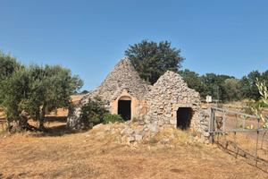 Trulli da ristrutturare con terreno di 11.460 mq