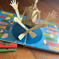 Il corpo umano libro per bambini con pop up
