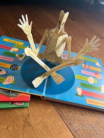 Il corpo umano libro per bambini con pop up