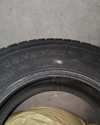 Gomme da neve