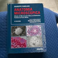 Anatomia Microscopica