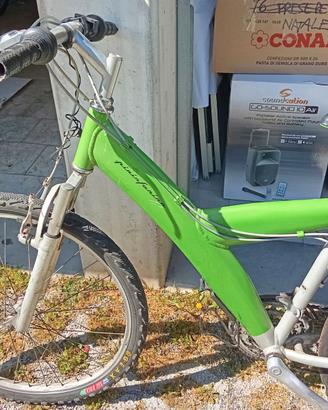 Mountain bike Pirinfarina