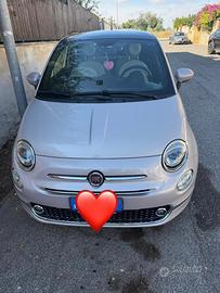 500 ibrida