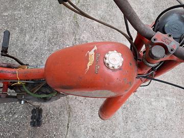 Motorino Demm