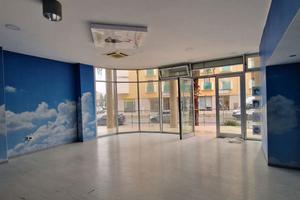 Negozio Brindisi [SG398ACG] (Cappuccini)