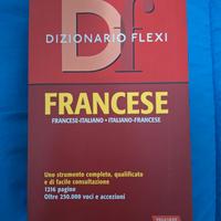 Dizionario francese