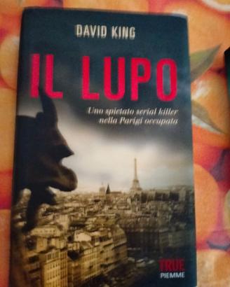 David King - Il lupo