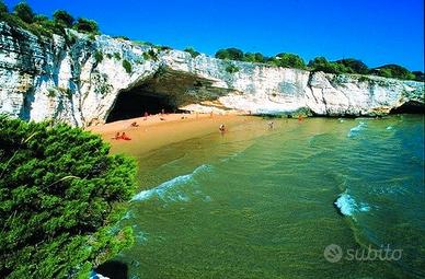 Vieste casa vacanze estate 2026