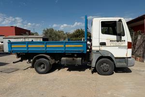 Nissan atleon 110