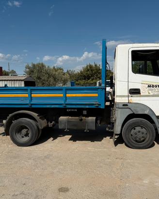 Nissan atleon 110