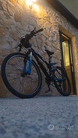 bici da uomo 