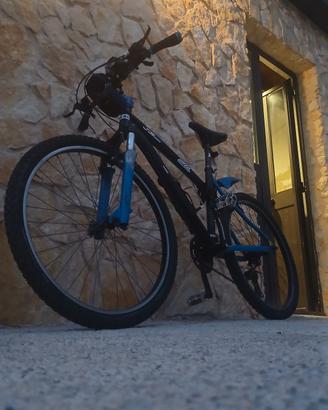 bici da uomo 