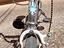 Immagine 6