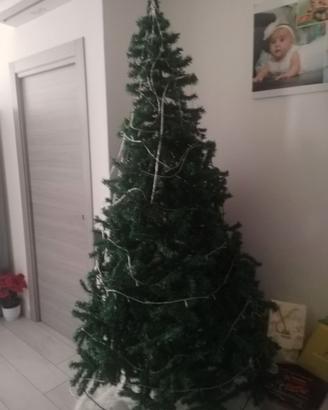Albero di natale