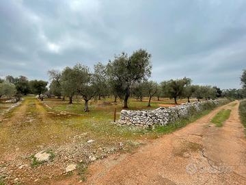 Terreno di 9600 mq con Progetto Approvato