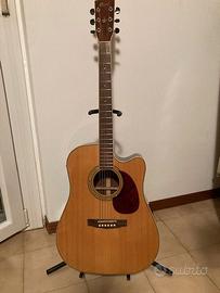 Chitarra Cort acustica e Gherson elettrica
