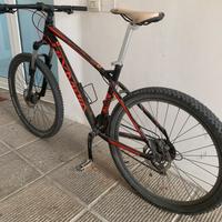 Mtb Olympia cobra