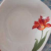 18 piatti in porcellana + insalatiera