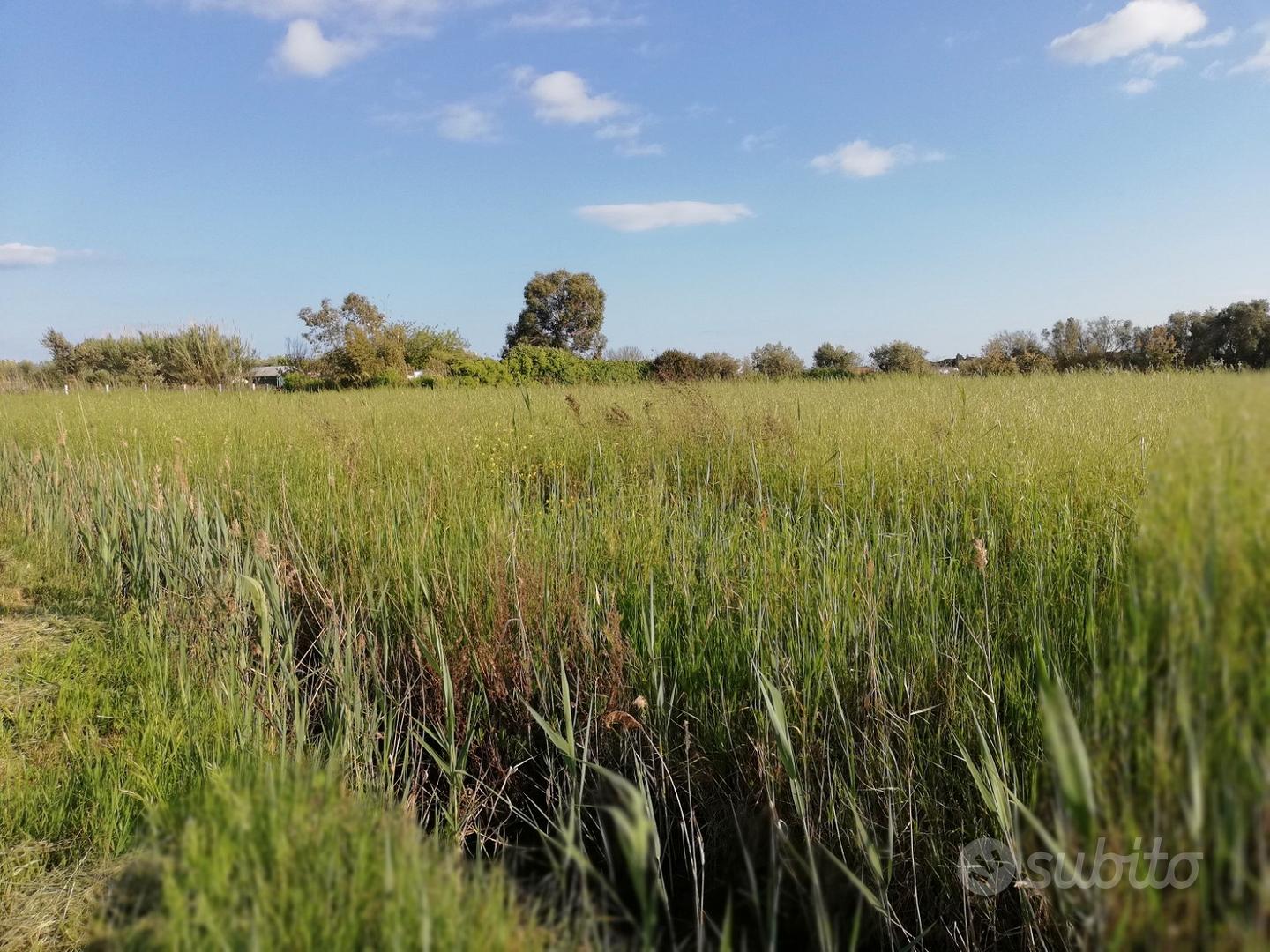 Terracina zona Badino Terreno terreno - mq.6.000 - Vista 4