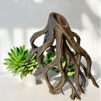 Radice per terrario teca acquario, spedisco