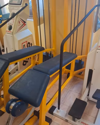 Leg Curl sdraiato Panatta Fit Line 2000