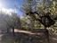 Immagine 18