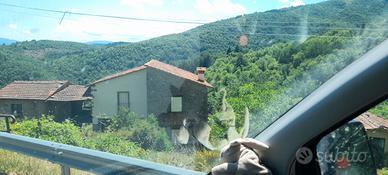 Rustico Garliano