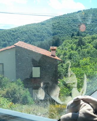 Rustico Garliano