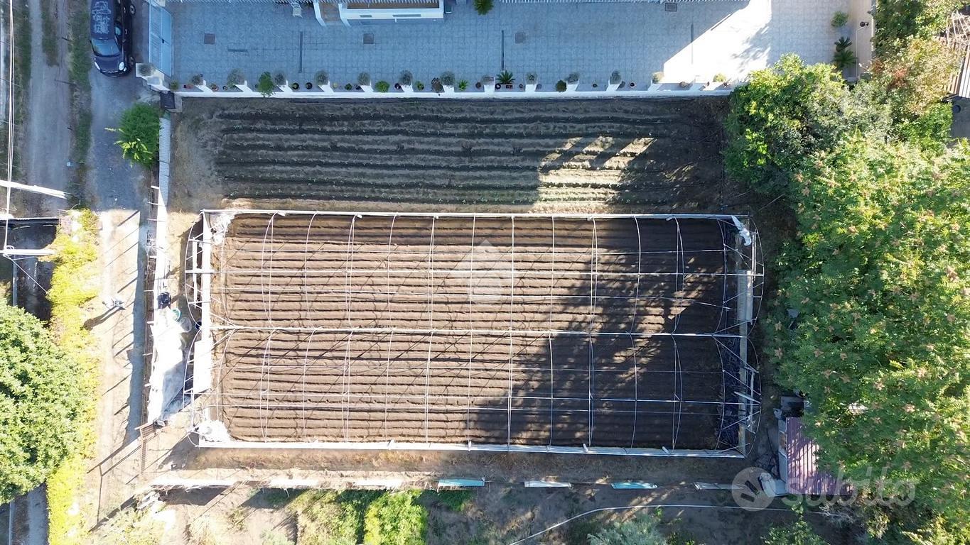 TERRENO A POLLENA TROCCHIA - Altro
