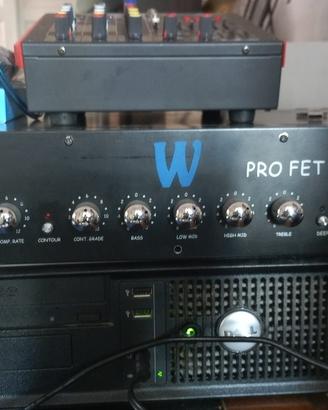 AMPLIFICATORI BASSO TESTATA CASSA FRETLESS