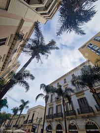 Appartamento Brindisi [MQ312VRG]