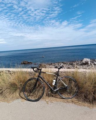 Bici da corsa