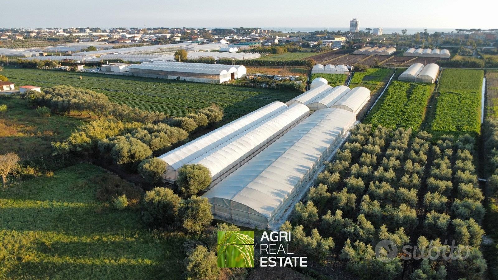 Terreno 5.000 mq ca. con serre | TR468 - Altro