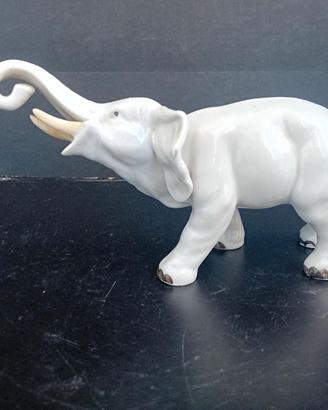 Elefante in porcellana bianca