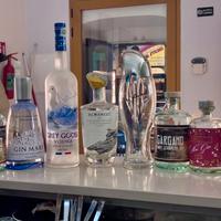 Bottiglie vuote gin e vodka