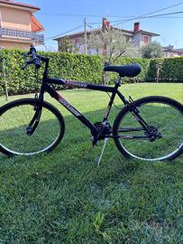 Bicicletta