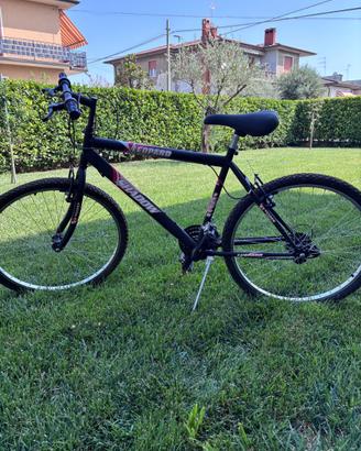 Bicicletta