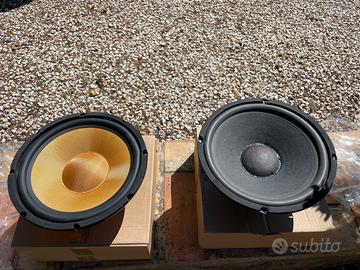 Due Woofer 25cm 4 ohm