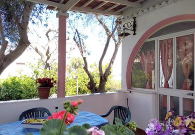 Ischia Casa Vacanze - Luglio e Agosto